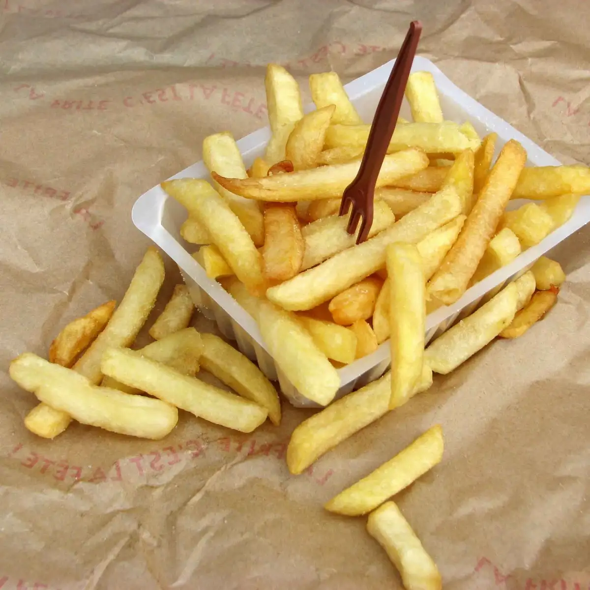 Barquette de frite